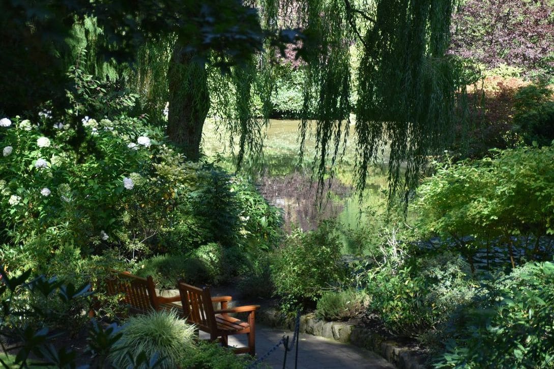 Préparer son jardin pour le printemps : les gestes essentiels