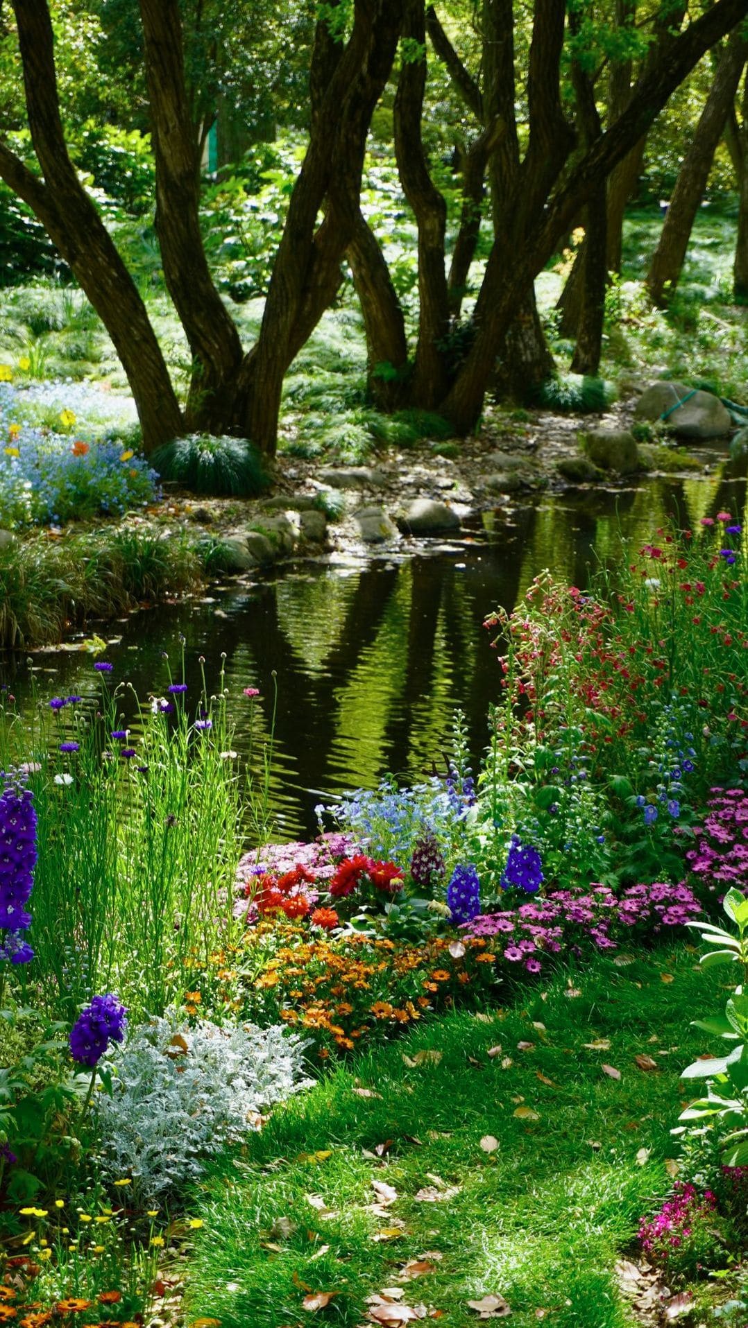 Jardin Harmonie 1