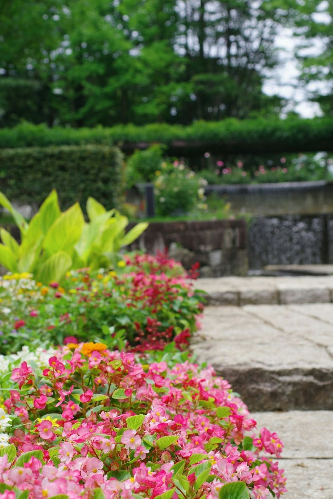 Jardin Harmonie 11