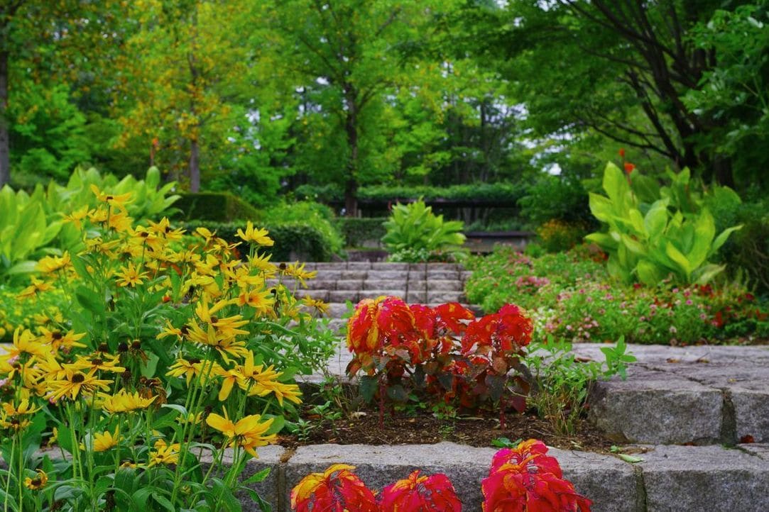 Jardin Harmonie 13