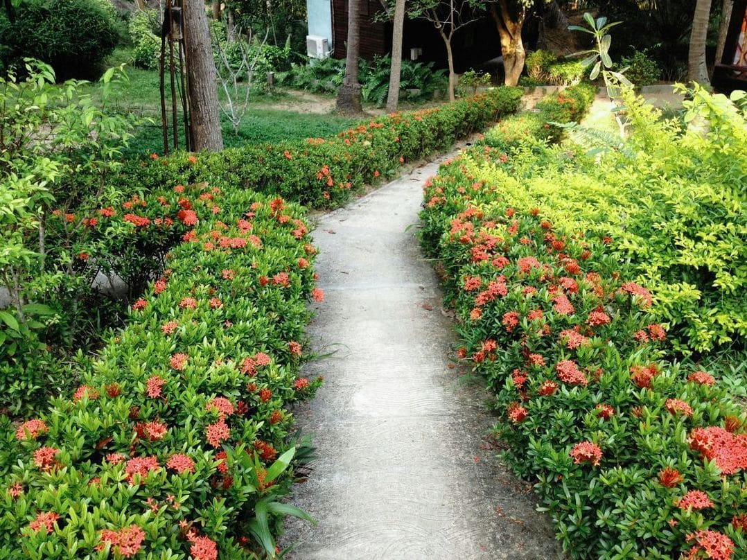 Jardin Harmonie 14