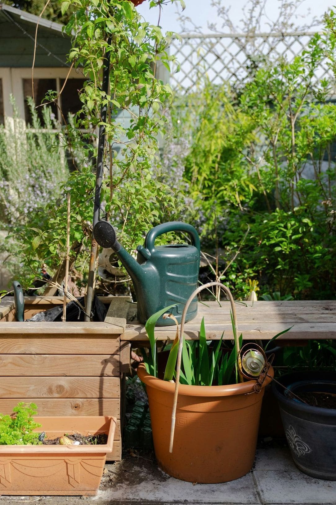 Jardin Harmonie 2