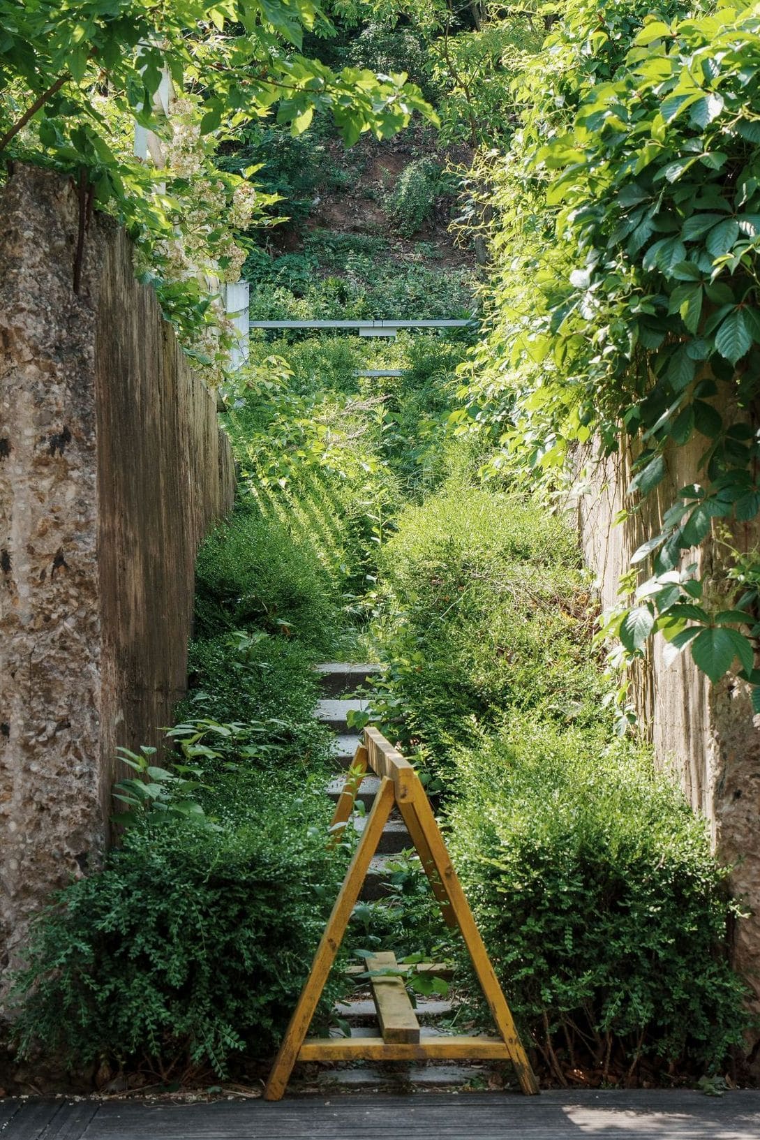 Jardin Harmonie 3
