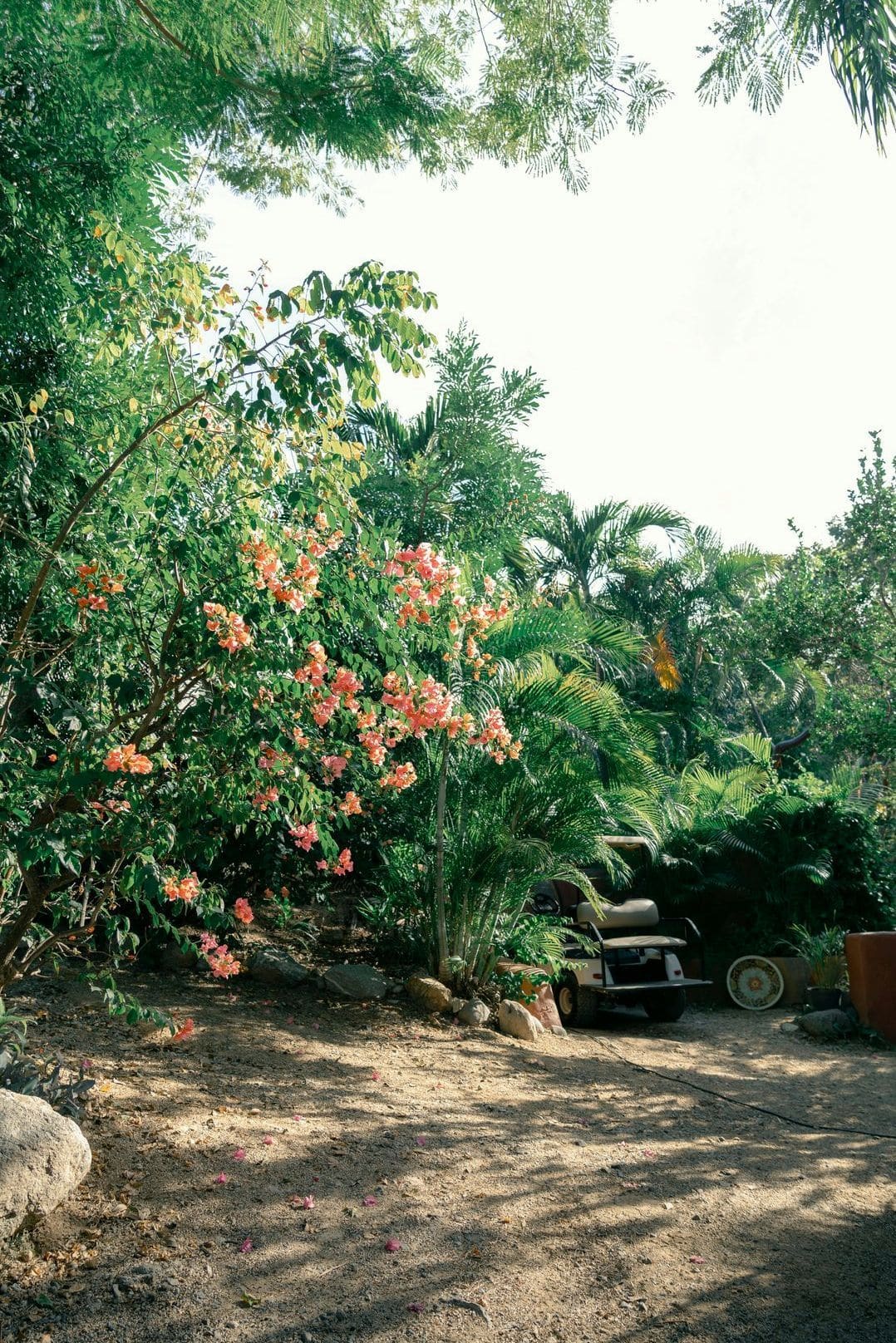 Jardin Harmonie 6