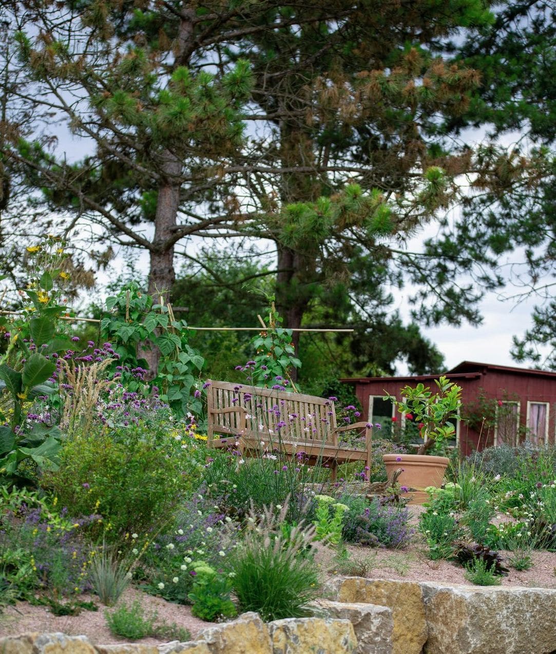 Jardin Harmonie 7